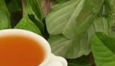 The Best Herbs To TREAT Enlarged Prostate (BPH) – Nature’s Hidden Allies You’re Probably Overlooking