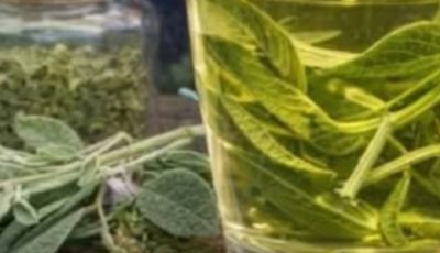 Sage Leaves: Properties and Health Benefits