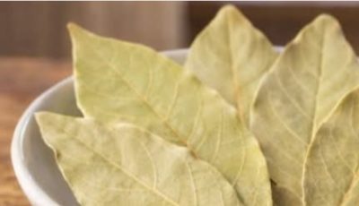 Natural Herbal Infusion with Oregano Poleo, Bay Leaves & Guava