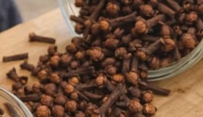 Why Dentists Rely on Cloves: Exploring the Eugenol Compound and Everyday Uses