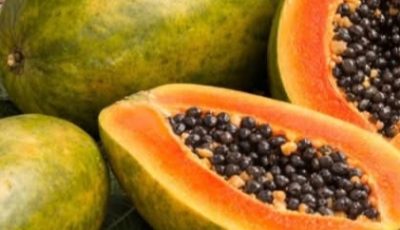 Recipes with Papaya Seeds: Benefits, Uses, and Natural Preparation