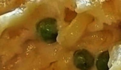 Hashbrown Chicken Casserole Recipe!!!