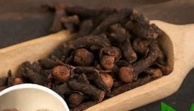 Search Results For: Ginger, Cloves, And Honey Remedy: 18 Benefits You’ll Thank Me For
