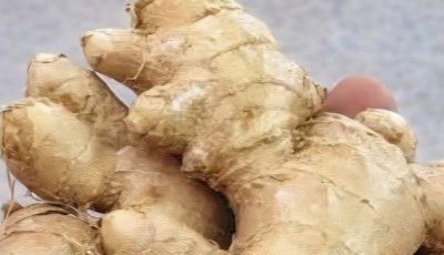 Grated ginger, onion, garlic and lemon juice