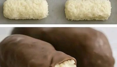 Chocolate Coconut Bars