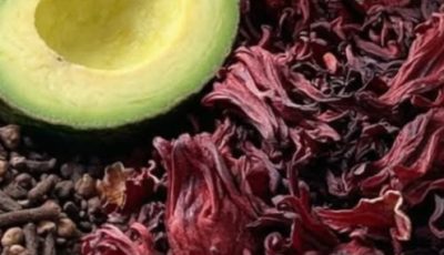 Avocado Seed Tea: Health Benefits, Uses, and How to Prepare It