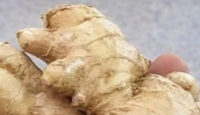Grated ginger, onion, garlic and lemon juice