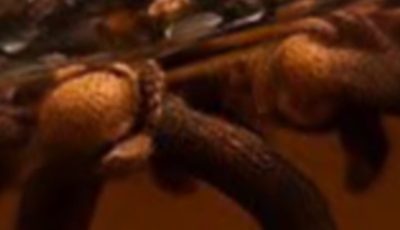 Clove Water: The Hidden Power in Your Kitchen
