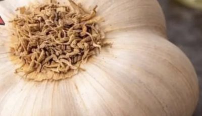 The Truth Behind “One Ingredient That Protects Against 25+ Diseases”