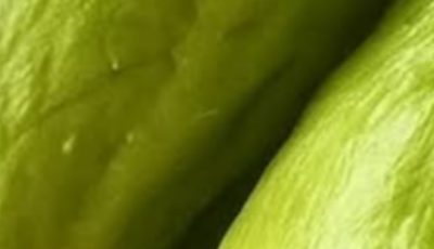 Benefits and Uses of Chayote Juice: A Refreshing Boost for Your Health