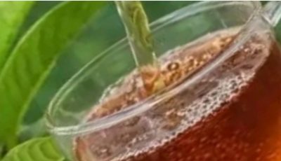 Natural Leaves That May Help Support Healthy Blood Sugar Levels
