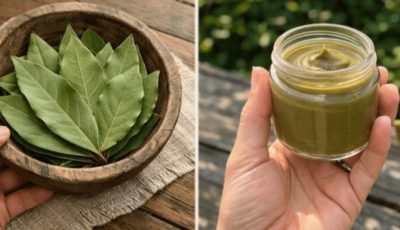 Bay Leaves for Skin: Exploring Their Potential Benefits for a More Youthful Appearance
