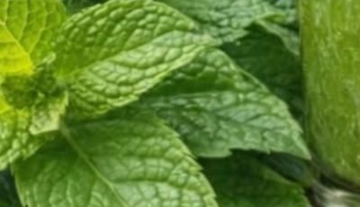 Mint and Lemon Juice: The Natural Drink That Refreshes, Detoxifies, and Boosts Energy