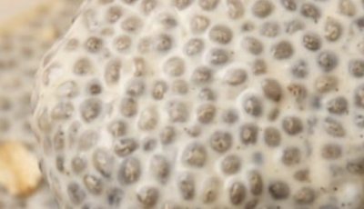 Vanilla Chia Seed Pudding