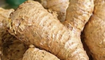 Discover the 5 Groups of People Who Should Be Cautious About Ginger Consumption for Their Health