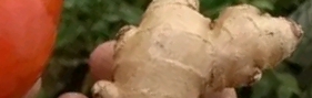 Cholesterol-Free Anti-Inflammatory Drink: A Simple Natural Recipe You’ll Love