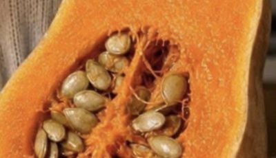 Pumpkin: A Natural Food That May Support Healthy Blood Sugar Levels