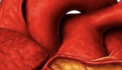 Why Drinking Water on an Empty Stomach Is So Beneficial
